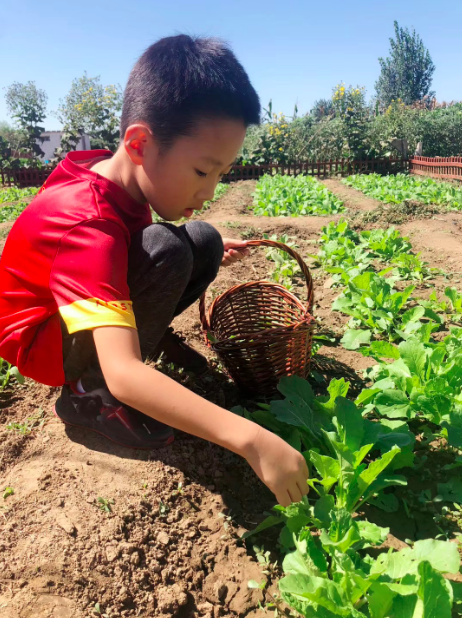 孩子|下水摸鱼、爬山登高、摘菜除草、捉虫捕虾，城里娃回村玩嗨了