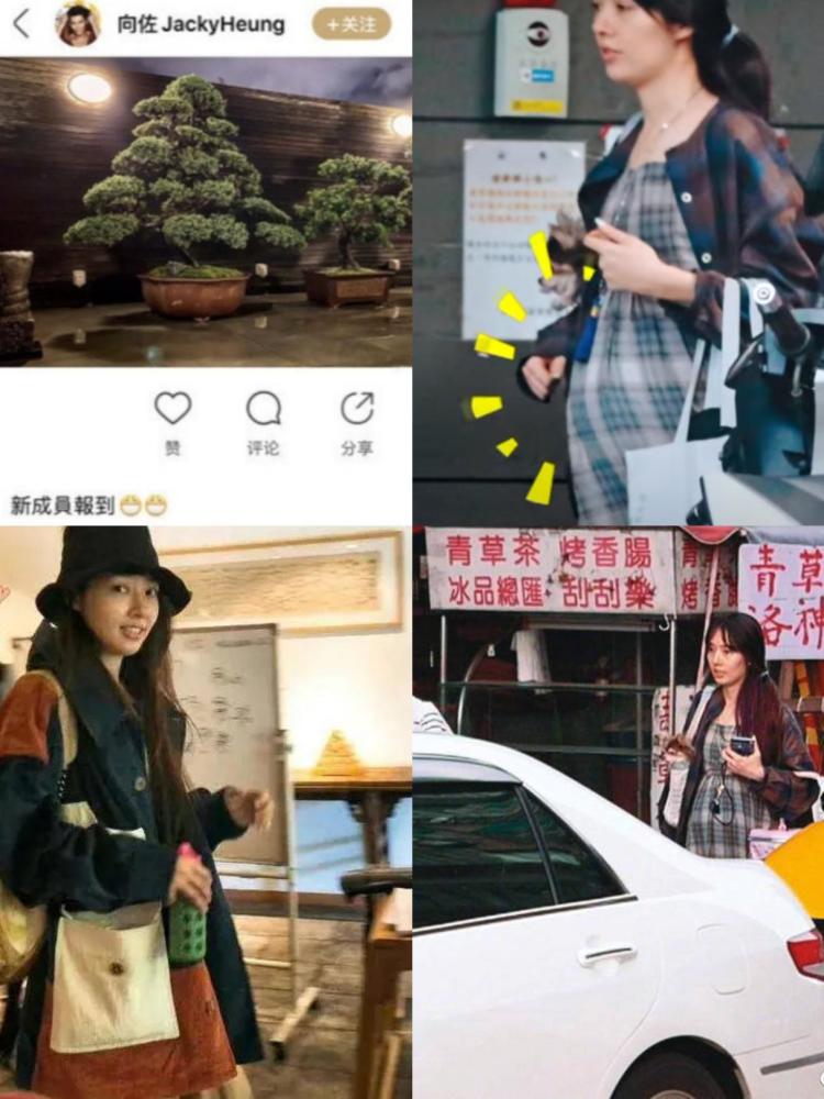 郭碧婷|郭碧婷发博疑似产前抑郁，向佐澄清并告白，豪门媳妇不好当？