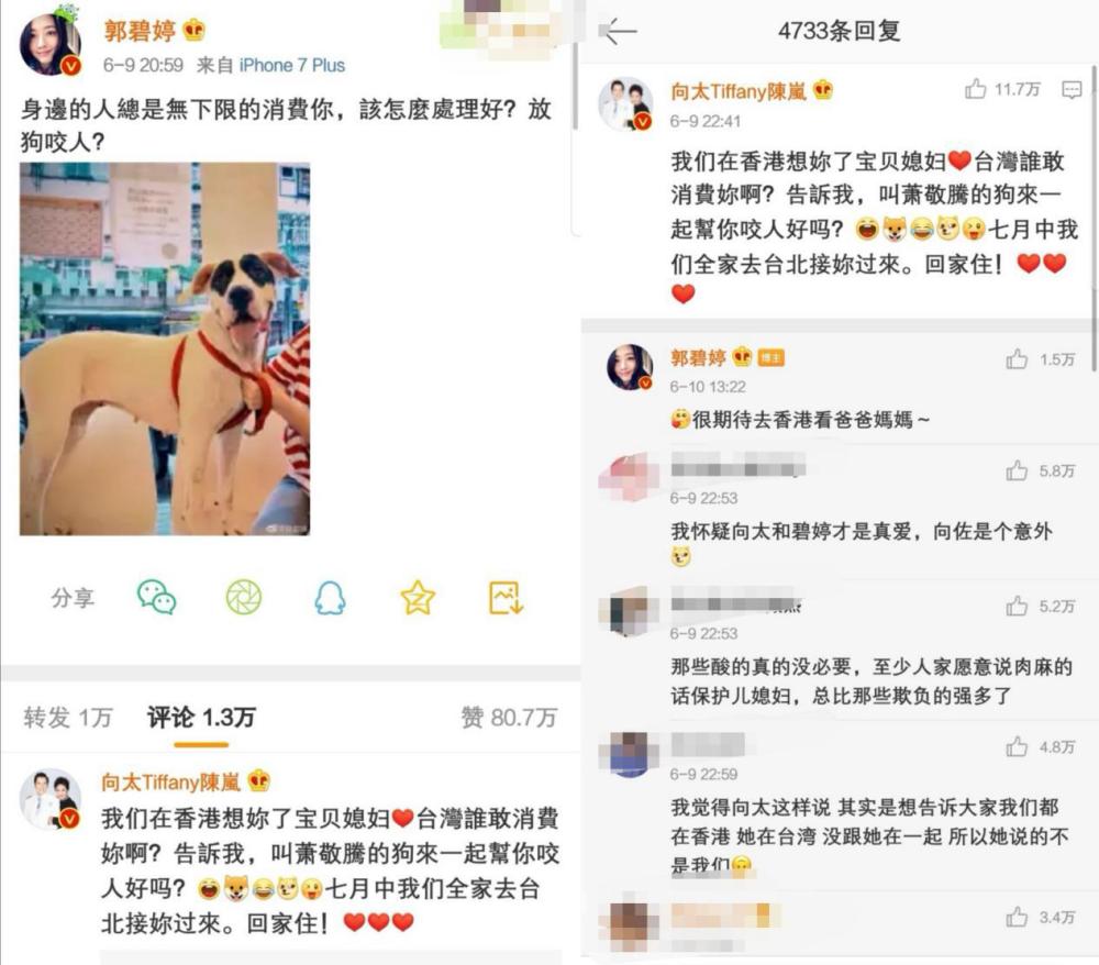 郭碧婷|郭碧婷发博疑似产前抑郁，向佐澄清并告白，豪门媳妇不好当？