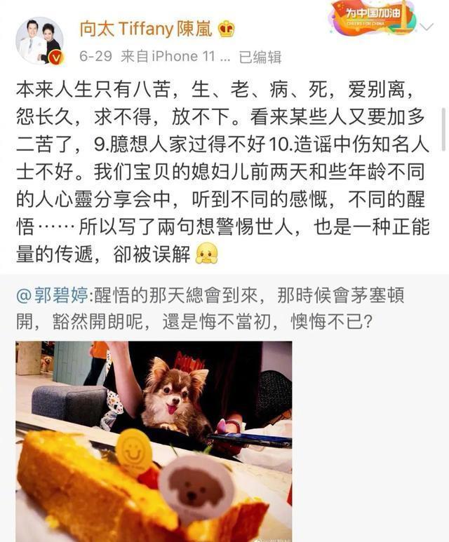 郭碧婷|郭碧婷发博疑似产前抑郁，向佐澄清并告白，豪门媳妇不好当？
