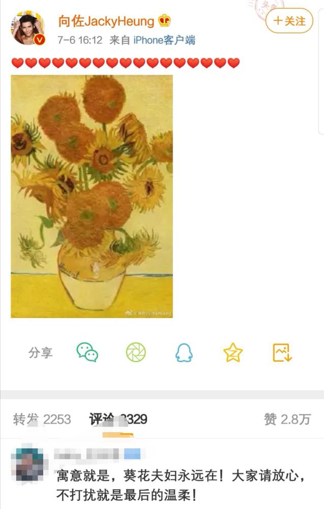 郭碧婷|郭碧婷发博疑似产前抑郁，向佐澄清并告白，豪门媳妇不好当？