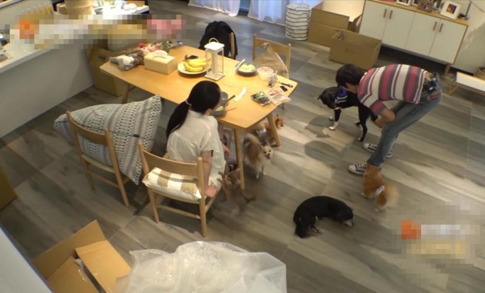 郭碧婷|郭碧婷发博疑似产前抑郁，向佐澄清并告白，豪门媳妇不好当？