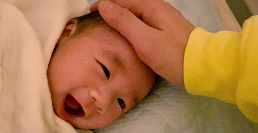 古巨基|古巨基结婚纪念日晒全家福，变身奶爸喂宝宝吃饭，怕感染病毒164天没出门