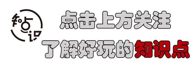 全球变暖|全球变暖让河狸过得更好？科学家：它们筑坝破坏了环境