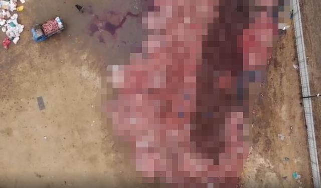 狐狸|生剥狐狸皮，尸体堆成山，英媒曝亚洲皮草厂惨状，人间地狱…