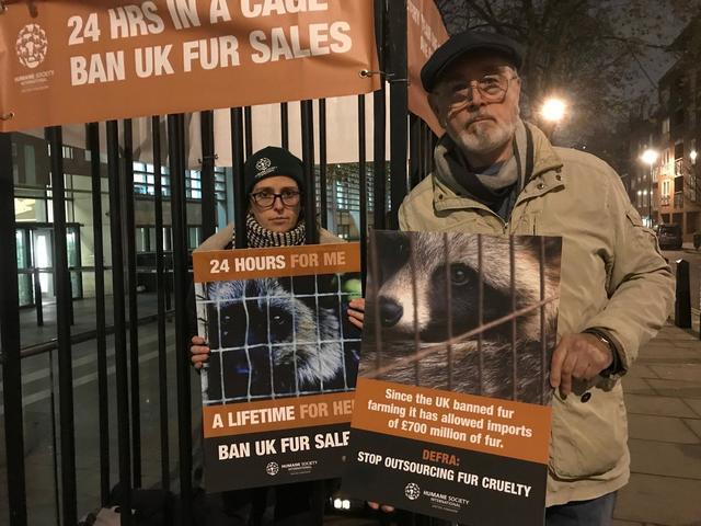 狐狸|生剥狐狸皮，尸体堆成山，英媒曝亚洲皮草厂惨状，人间地狱…