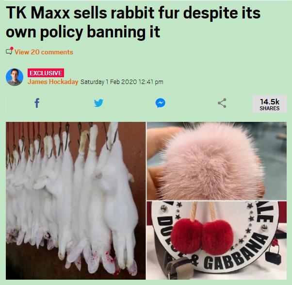 狐狸|生剥狐狸皮，尸体堆成山，英媒曝亚洲皮草厂惨状，人间地狱…