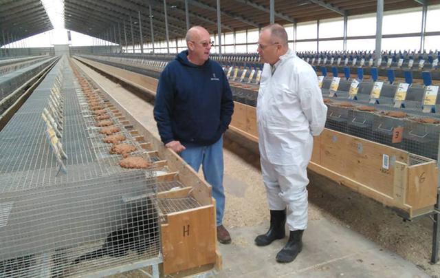 狐狸|生剥狐狸皮，尸体堆成山，英媒曝亚洲皮草厂惨状，人间地狱…