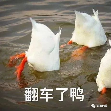 赵小棠|以“爷们”为荣“娘们”为耻？停止打压女性，请从女性自身做起