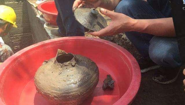 阳干鱼|荆州发现战国陵墓，里面发现千年咸鱼，专家说它很有研究价值