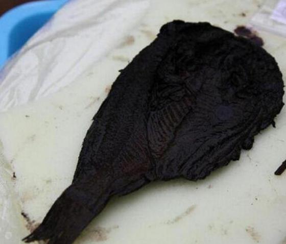 阳干鱼|荆州发现战国陵墓，里面发现千年咸鱼，专家说它很有研究价值