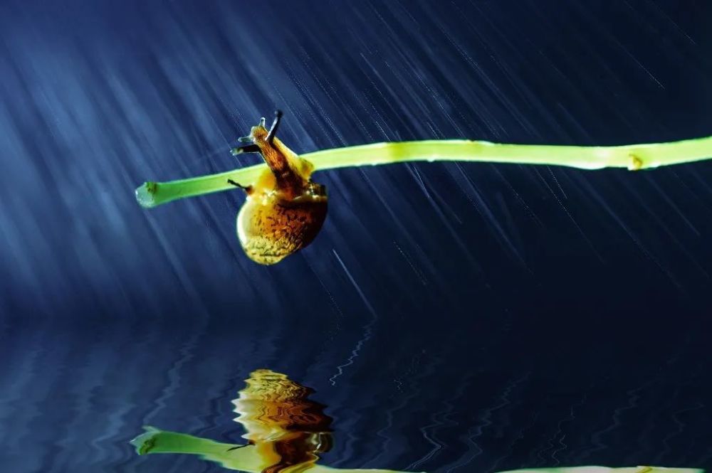 面朝大海|5首唯美的现代诗，寂静，清新