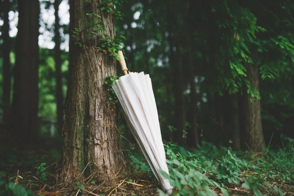 面朝大海|5首唯美的现代诗，寂静，清新