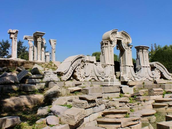 荷花|北洋时代的“莲花”，被成功复活，它和现代的莲花有何不同