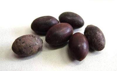 荷花|北洋时代的“莲花”，被成功复活，它和现代的莲花有何不同