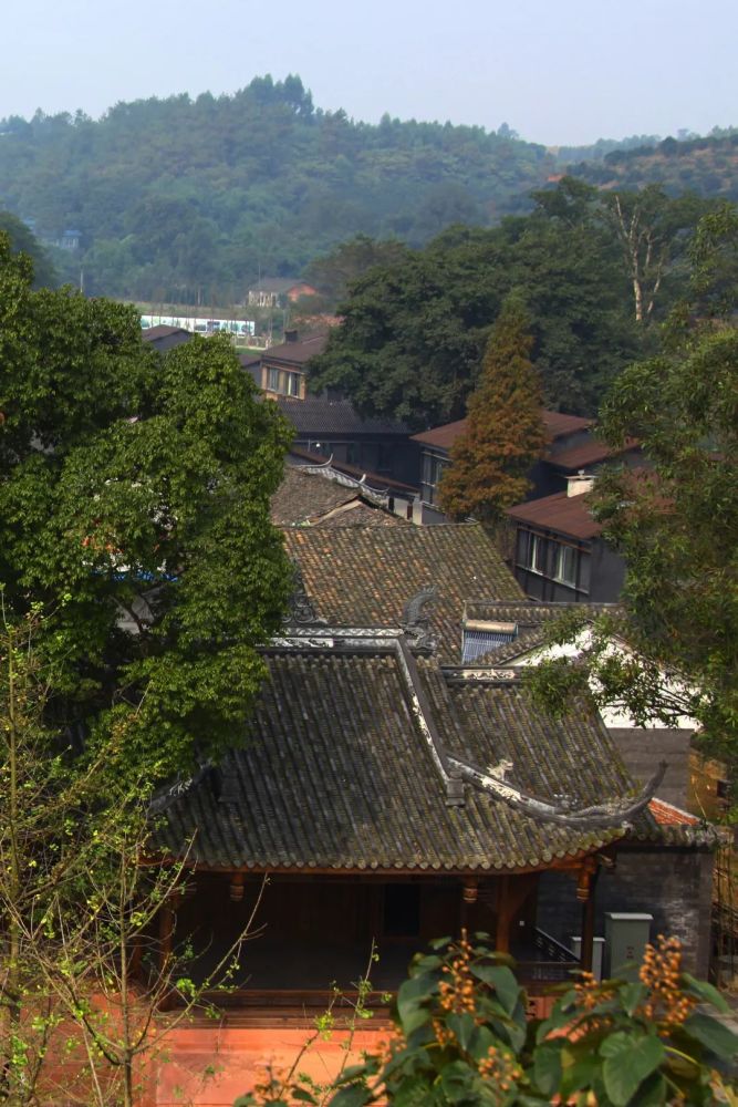 这是一条很有味儿的推荐