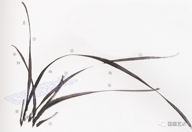 写意兰叶的用笔与画法_腾讯新闻