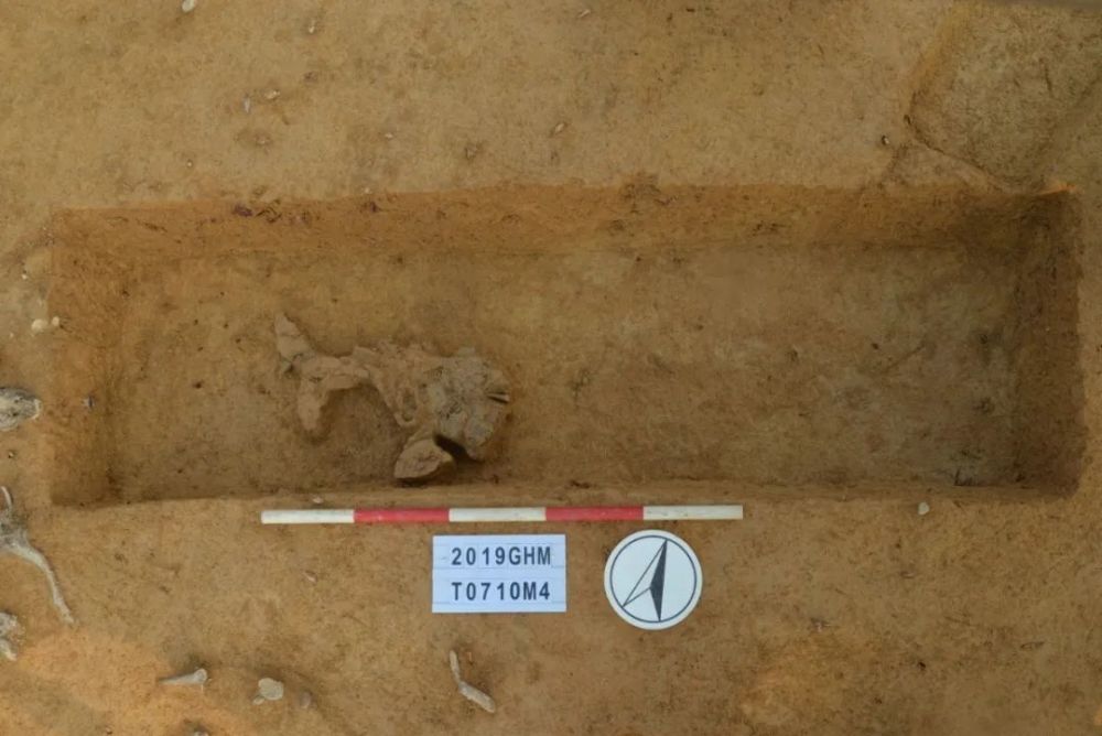 广州市文物考古研究院|厉害了！广州挖出一大批先秦宝贝