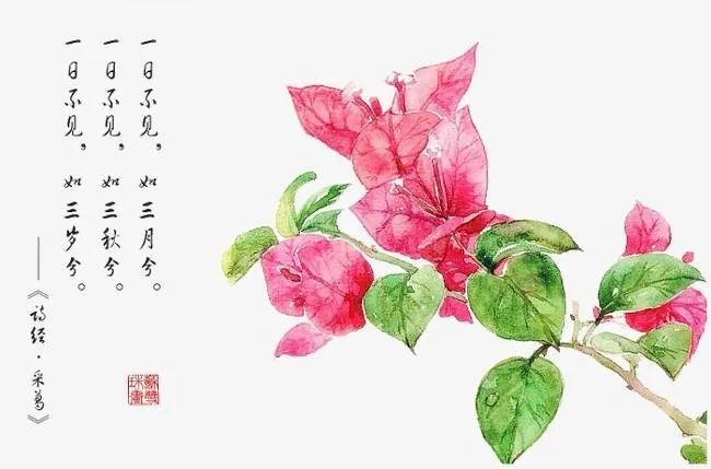 汉语|优质的汉语正离我们远去