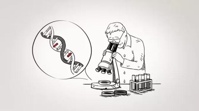 付向东|专访付向东教授：神经元再生疗法诞生始末