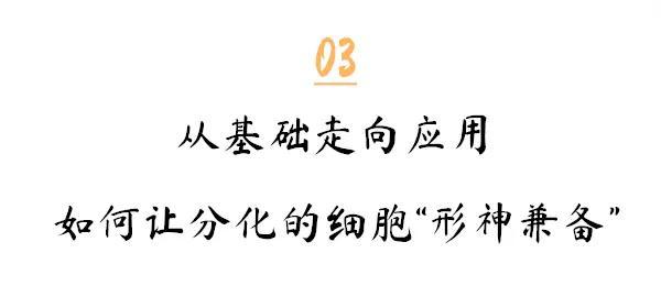 付向东|专访付向东教授：神经元再生疗法诞生始末