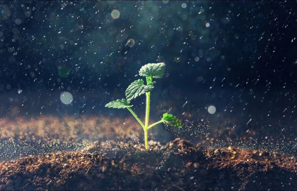 庄子|庄子直击心灵的6句话，句子很短，哲理很深