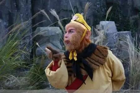 西游记|西游中白骨都能成精，为何这种常见的动物却没成精？它在十二生肖中