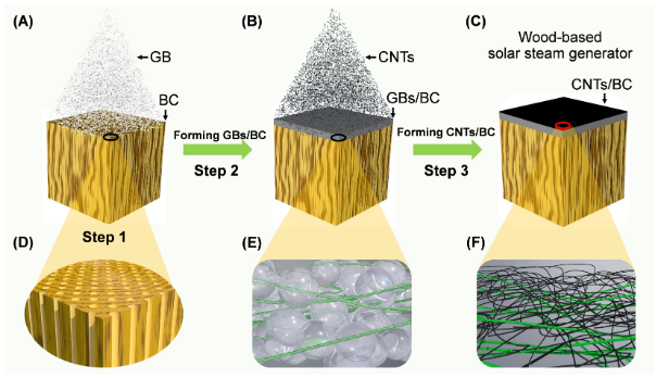 蒸汽发生器|中科大俞书宏院士团队：一种可持续生物合成仿生多层级太阳能蒸汽发生器