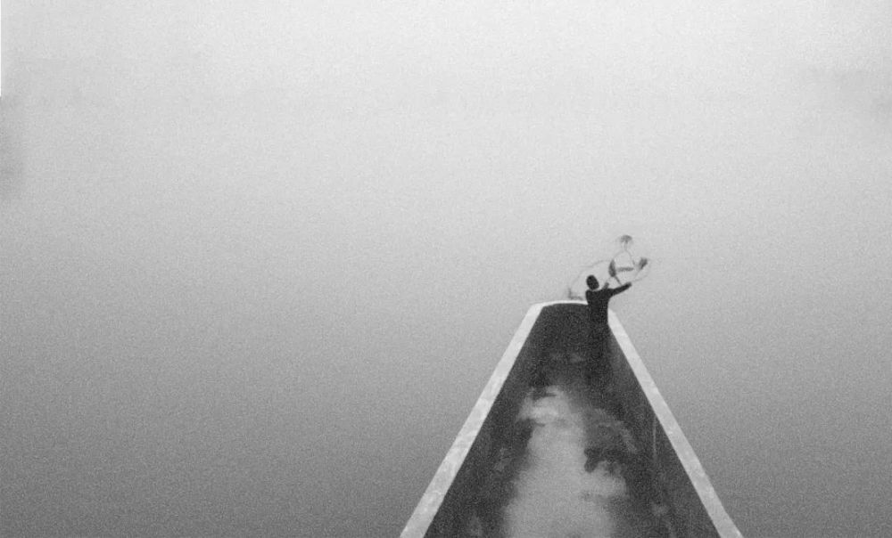 野狼disco|野狼disco才不是东北文艺复兴