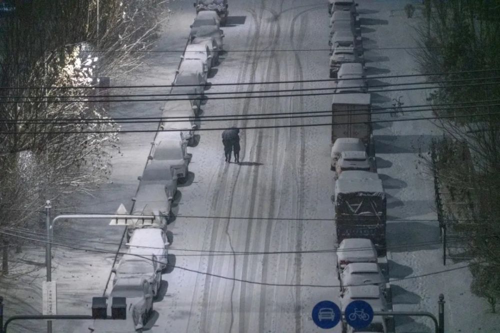 野狼disco|野狼disco才不是东北文艺复兴