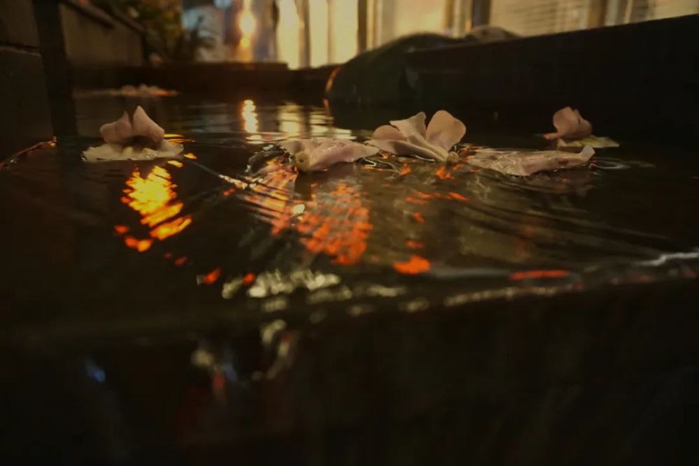 野狼disco|野狼disco才不是东北文艺复兴