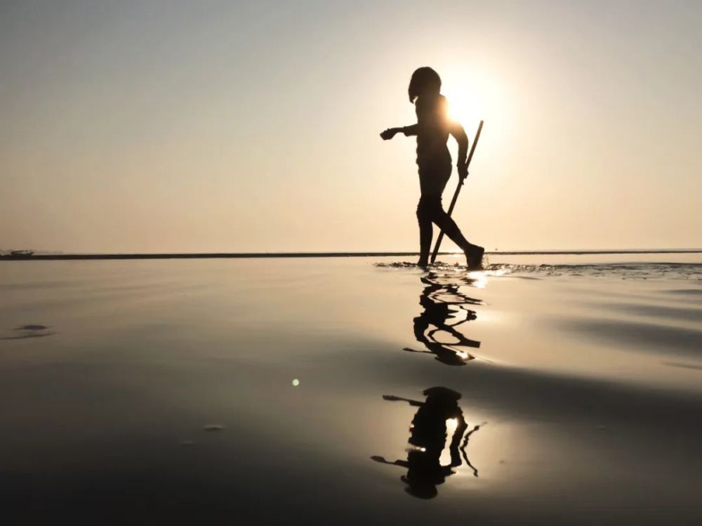 野狼disco|野狼disco才不是东北文艺复兴