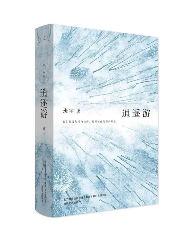 野狼disco|野狼disco才不是东北文艺复兴