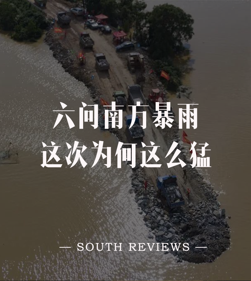 野狼disco|野狼disco才不是东北文艺复兴