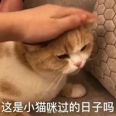 红色预警信号|本周四入伏！广东发出首个高温红色预警！专家告诉你一家大小防暑降温妙招