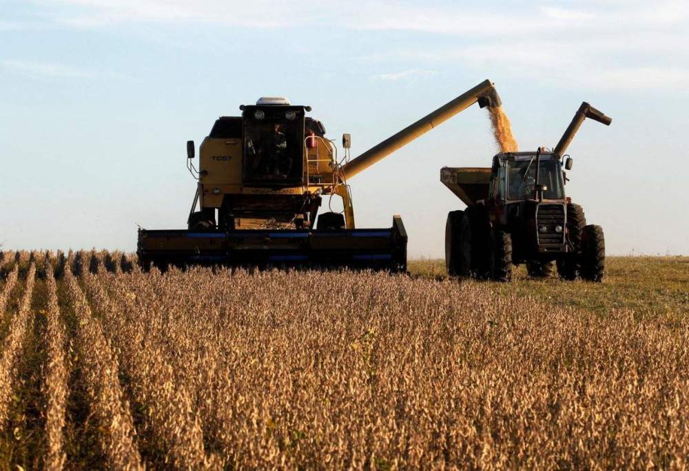 我们为什么要进口美国粮食自己种的不够吃吗