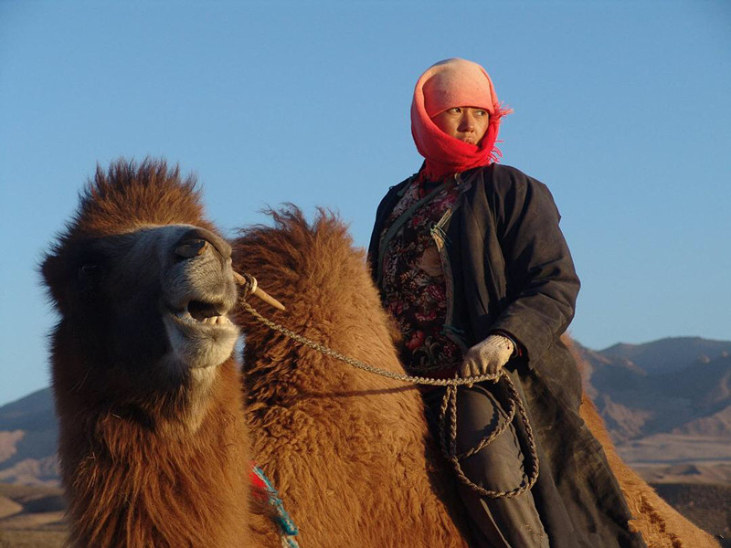 余男|余男和王全安、张雨绮、大S、汪小菲的情感纠缠