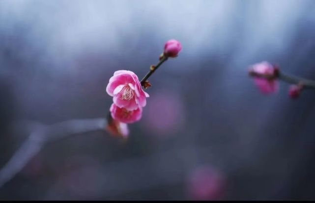 路开原创 结婚 欧阳斌 爷爷