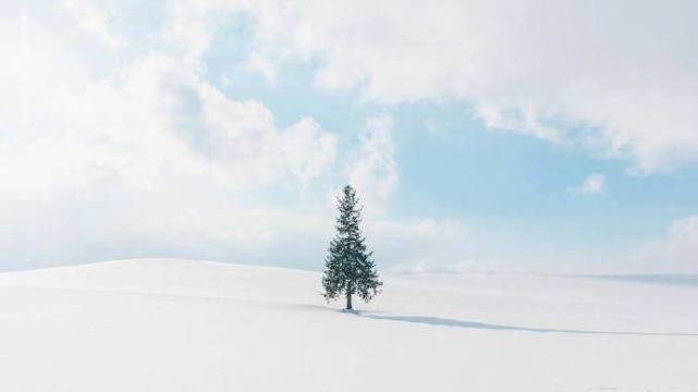 沉静在北海道浪漫的冬雪里 北海道