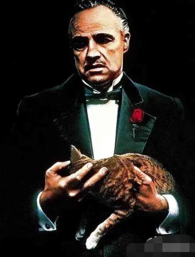 教父之所以能够成为教父,全靠这3个人生准则,值得我们深思|教父|桑尼