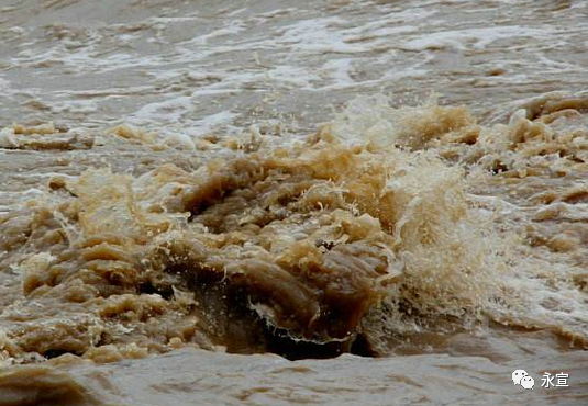 民间异闻江河神龟灵蛇走蛟记