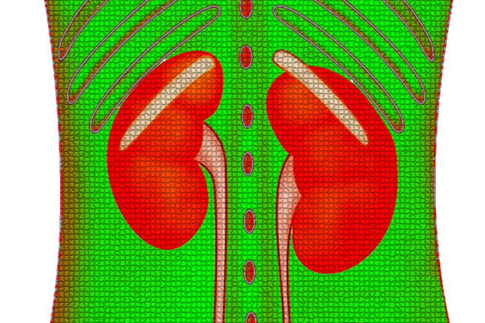 肾脏病|可以治愈的肾脏病，看看有你吗？