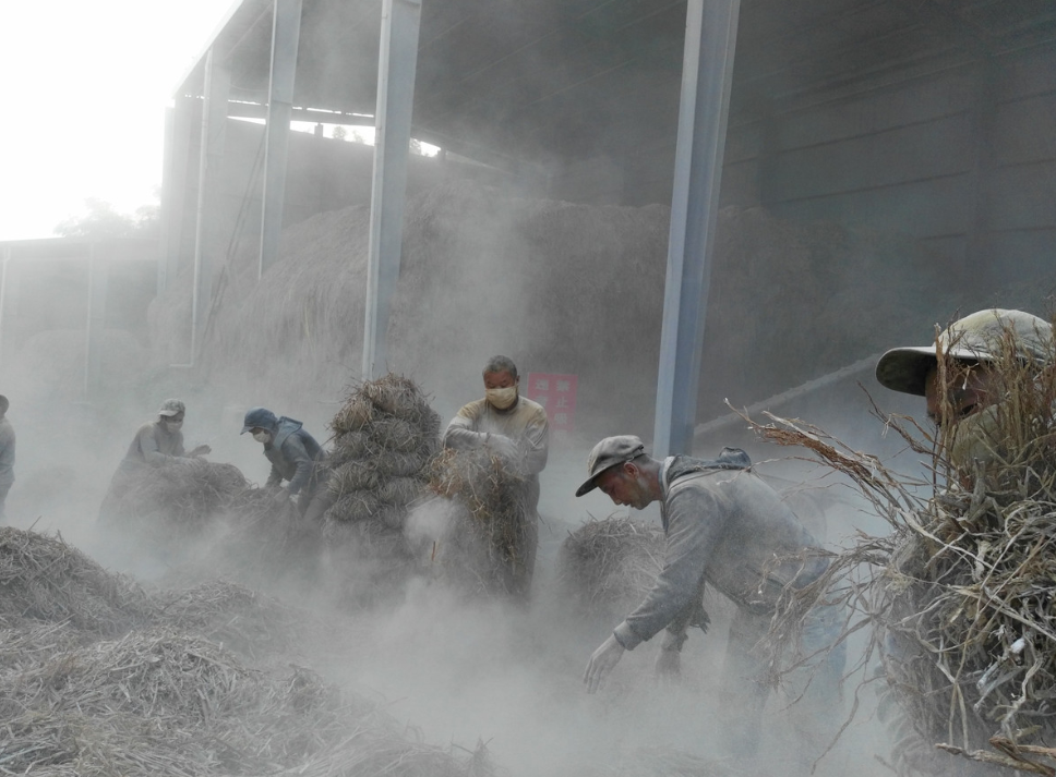 李白|安徽泾县，李白为什么偏爱桃花潭？