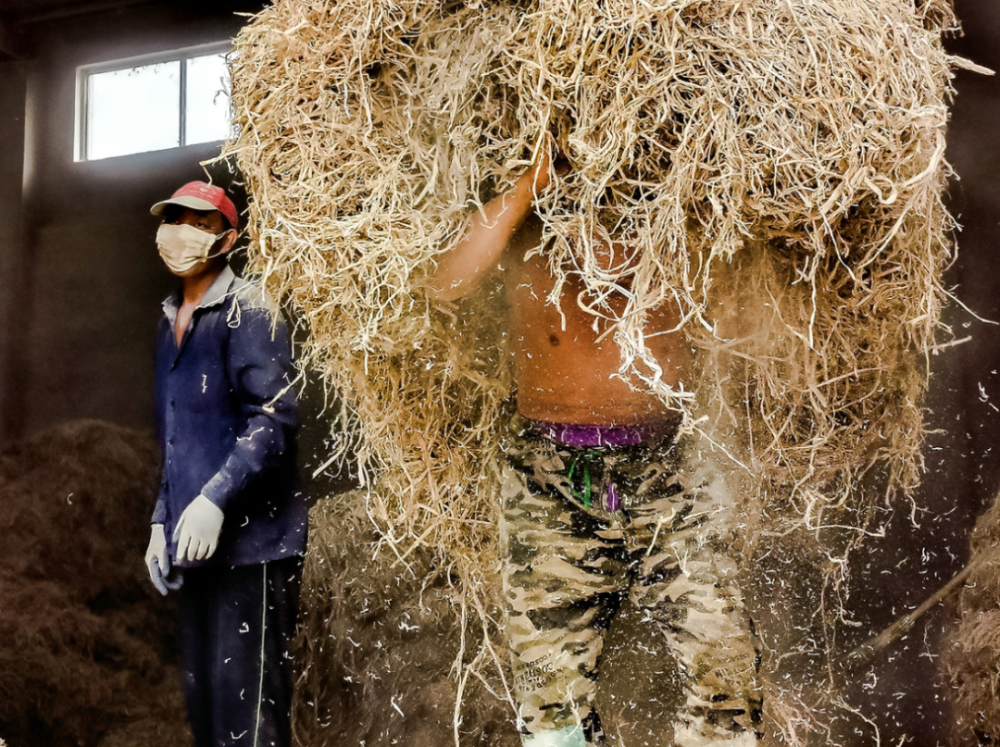 李白|安徽泾县，李白为什么偏爱桃花潭？