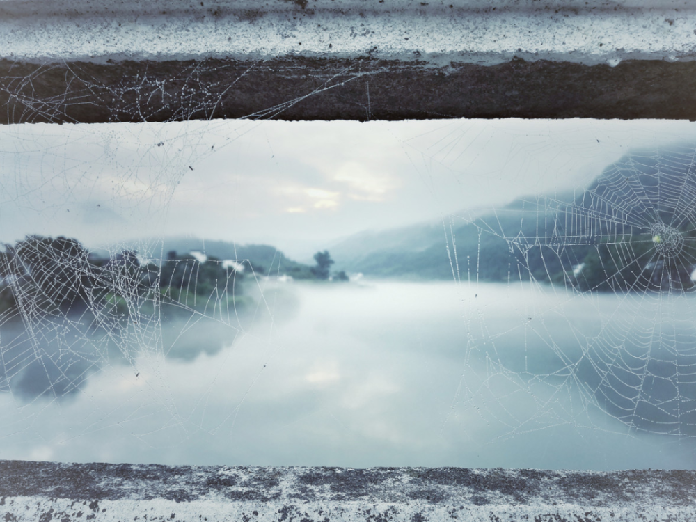 李白|安徽泾县，李白为什么偏爱桃花潭？