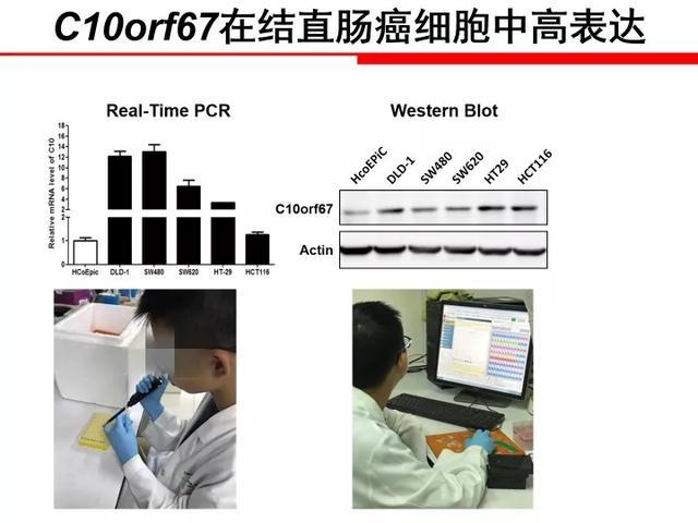 青少年科技创新大赛|小学生研究癌症获全国大奖，网友扒出其父母身份，系研究员之子