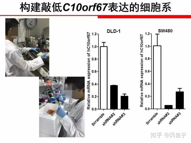 青少年科技创新大赛|小学生研究癌症获全国大奖，网友扒出其父母身份，系研究员之子