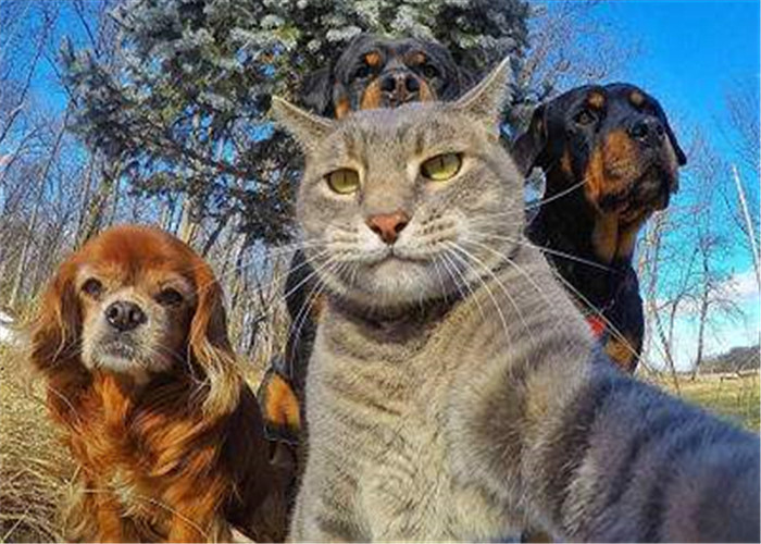 照镜子|为何照镜子比拍照片好看？科学家：里面的你，并不是真正的你！