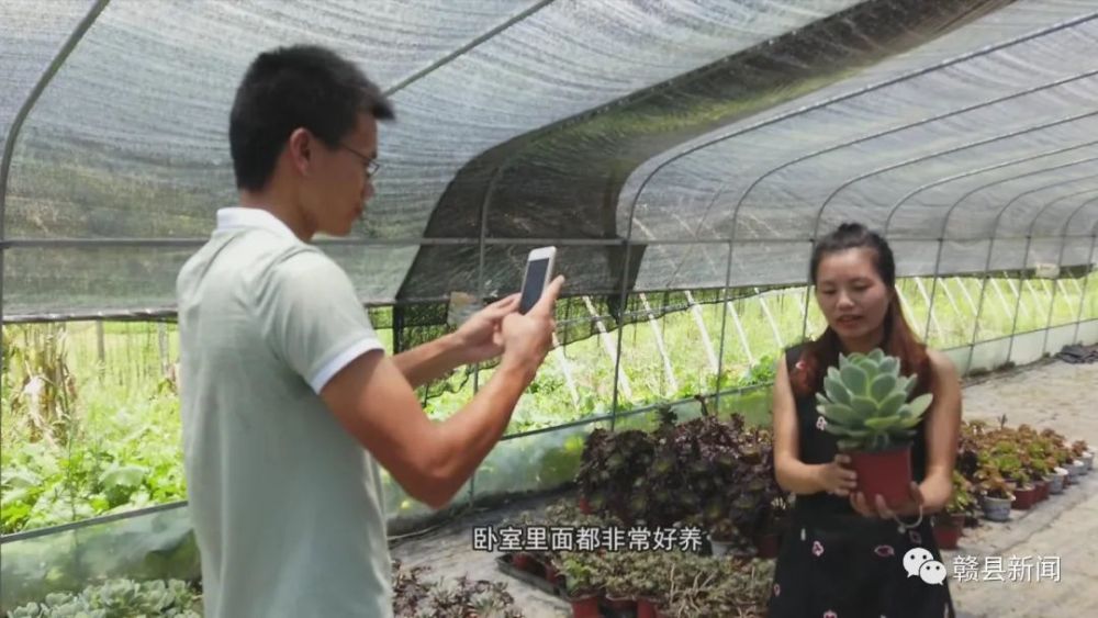 返乡创业大学生温珍演小小 多肉 敲开致富门 腾讯新闻