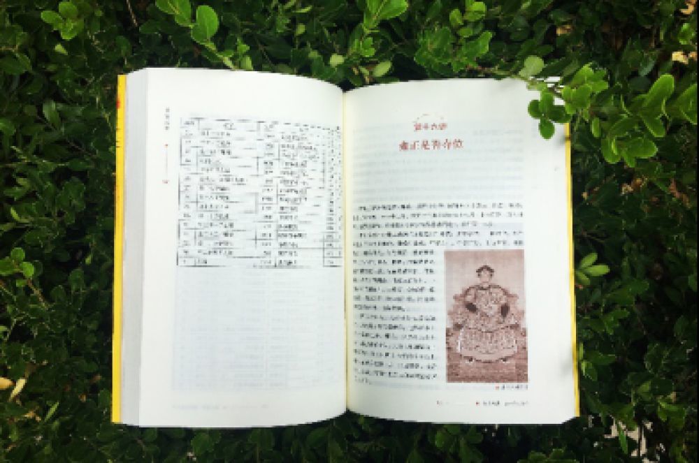 故宫疑案|阎崇年《故宫疑案》：拂去疑云迷雾，揭示历史真相